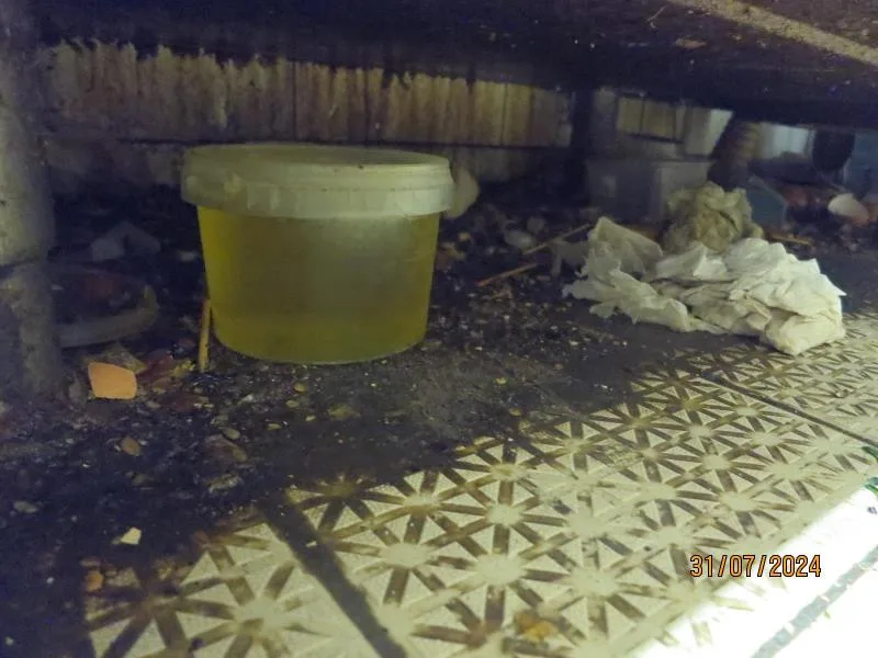 Pekárně v centru Prahy hygienici okamžitě zavřeli kuchyň. Při kontrole tam našli mravence, plíseň i odpadky