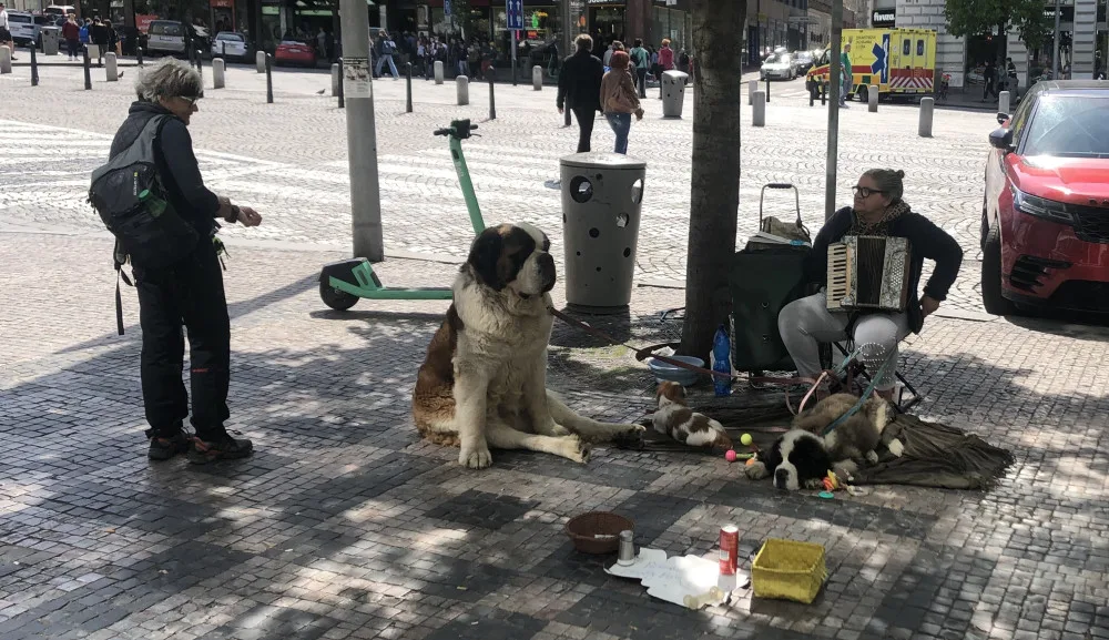 Ilustrační foto