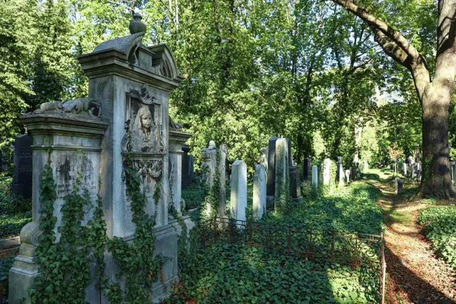 žižkovská kultůra