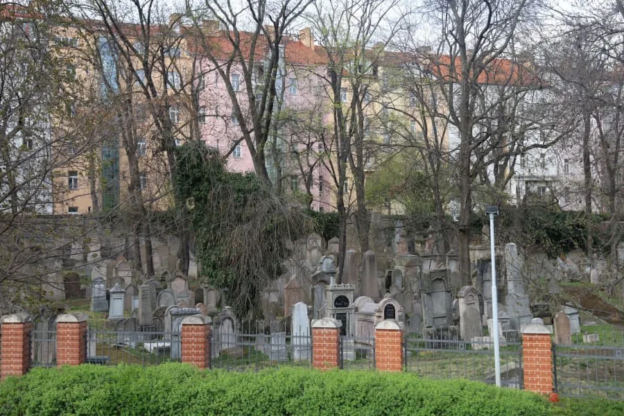 žižkovská kultůra
