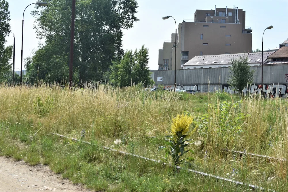 Z brownfieldu na břehu Vltavy místo pro odpočinek. Podívejte se, jak vypadala proměna Parku U Vody