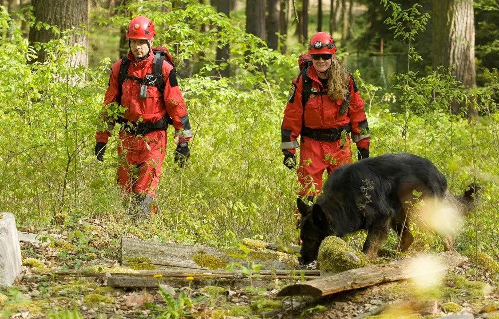 Ilustrační foto