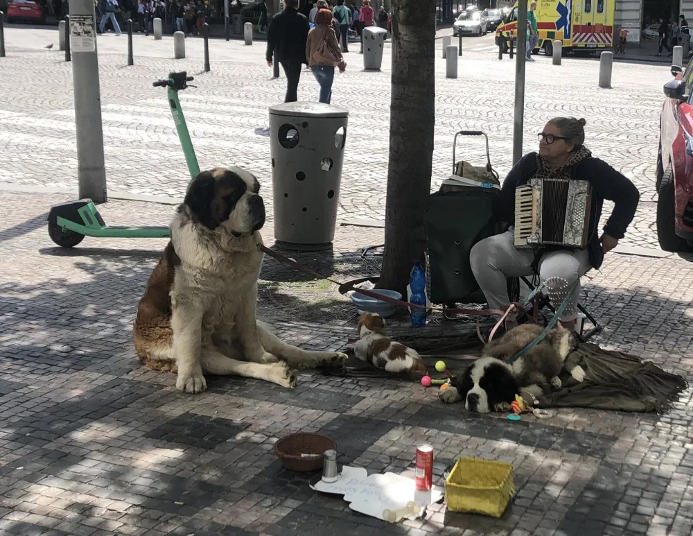 Cizince by za porušení mohli i vyhostit.