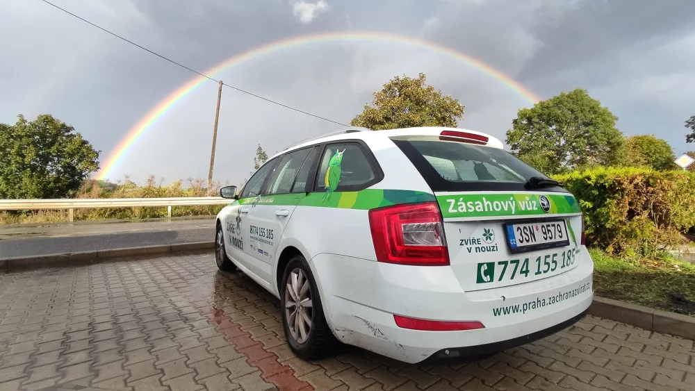Zvířecí záchranka je nadějí pro divoká zvířata lapená městem. Nyní vybírá peníze na nové auto