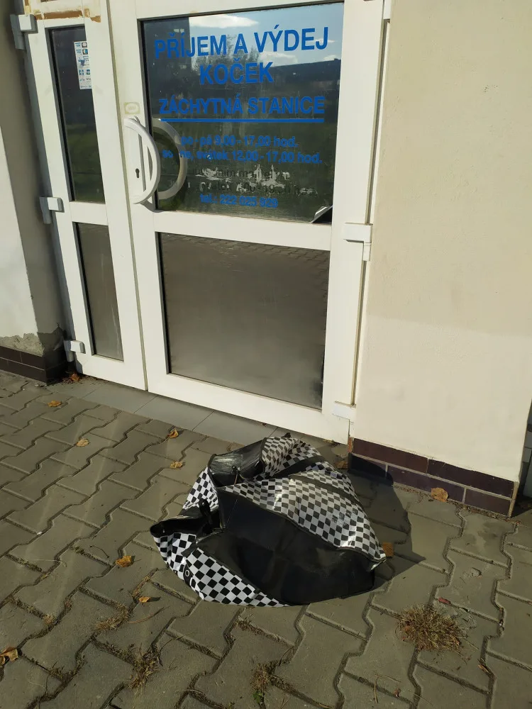 Přede dveřmi útulku odložili v tašce patnáct morčat. Po karanténě budou k adopci