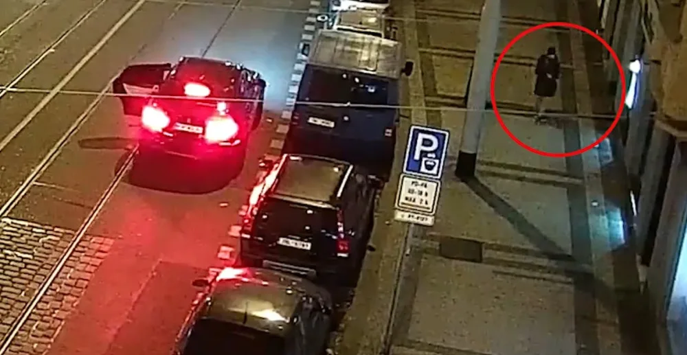 VIDEO: Žena v zeleném kabátě byla svědkyní zločinu, policie po ní pátrá
