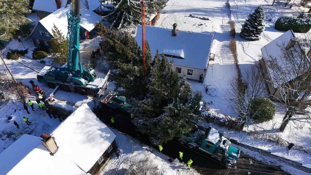 Vánoční strom pro Prahu už se veze. Na Staromáku bude stát od úterního rána
