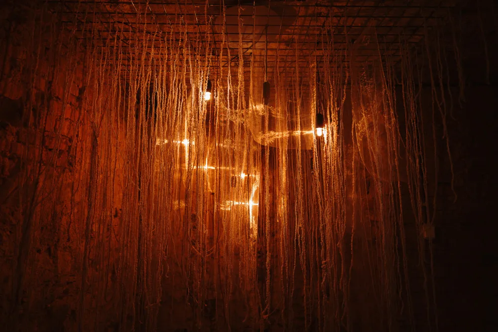 Galerie hlavního města a festival Signal nabídnou speciální předvánoční videomapping