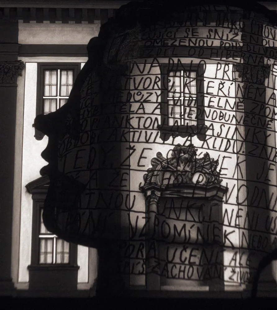 Galerie hlavního města a festival Signal nabídnou speciální předvánoční videomapping