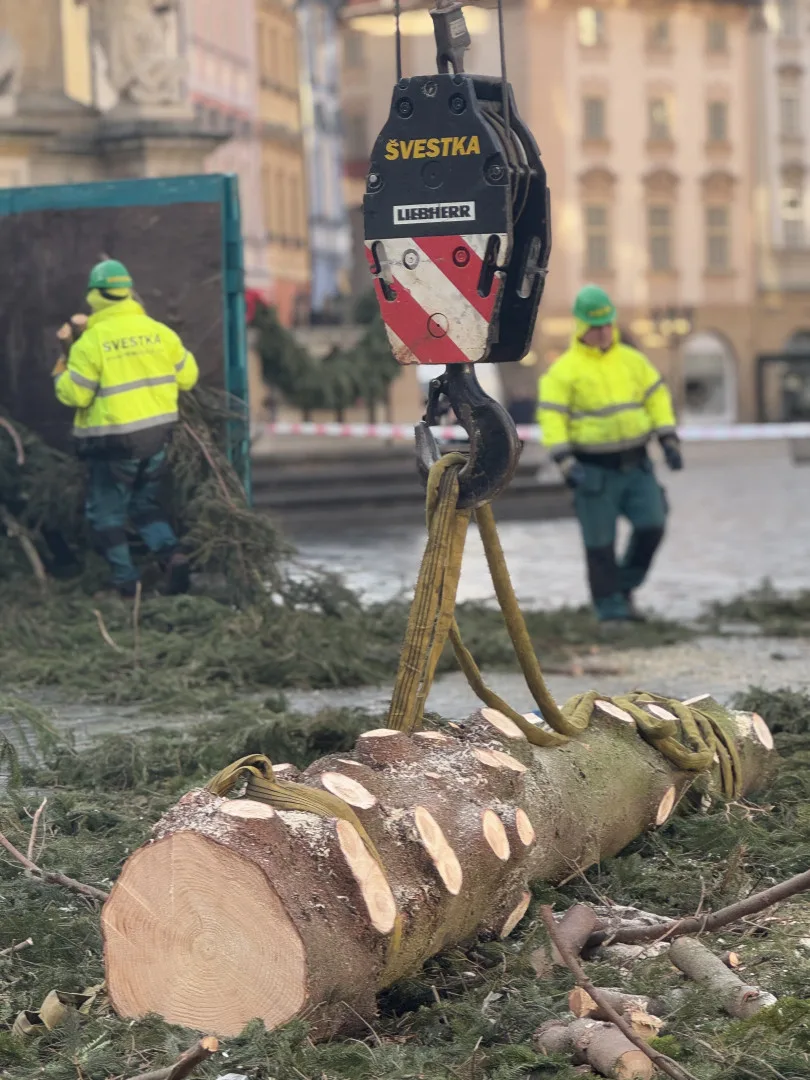 Vánoční strom už zmizel ze Staromáku, učni z něj vyrobí nábytek pro dětské centrum