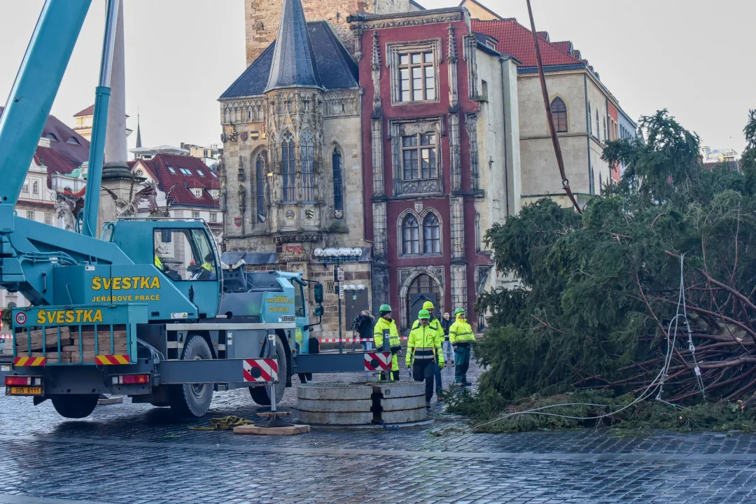 Vánoční strom už zmizel ze Staromáku, učni z něj vyrobí nábytek pro dětské centrum