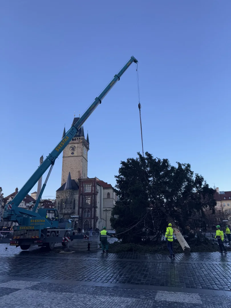 Vánoční strom už zmizel ze Staromáku, učni z něj vyrobí nábytek pro dětské centrum