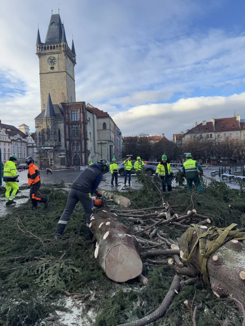 Vánoční strom už zmizel ze Staromáku, učni z něj vyrobí nábytek pro dětské centrum