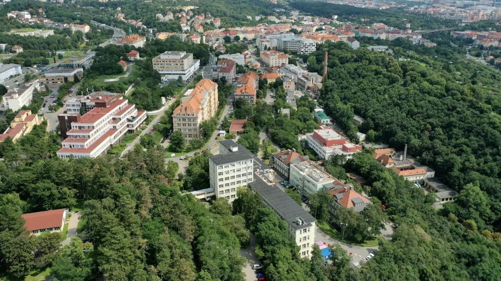 Ilustrační foto