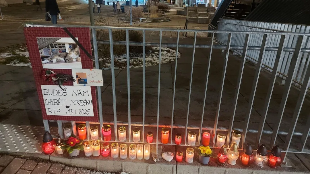 Oblíbený kocour Mikeš bude mít v Modřanech bronzovou sochu, lidé se na ni skládají ve sbírce. Poslali už přes sto tisíc