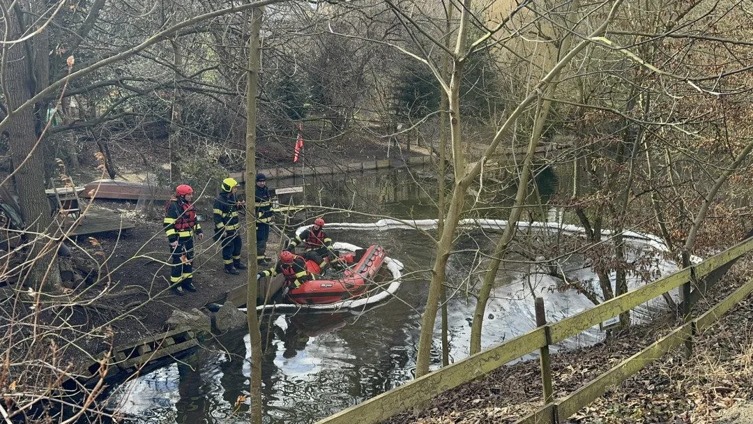 Do Kunratického potoka unikla neznámá látka a zasáhla pět hus. Museli je odchytit a dekontaminovat