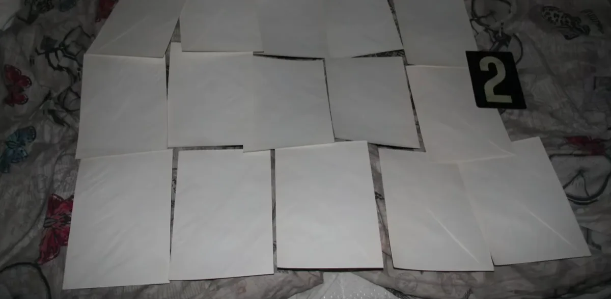 VIDEO: Místo dopisů drogy. Policie zadržela distributory omamných látek do věznic