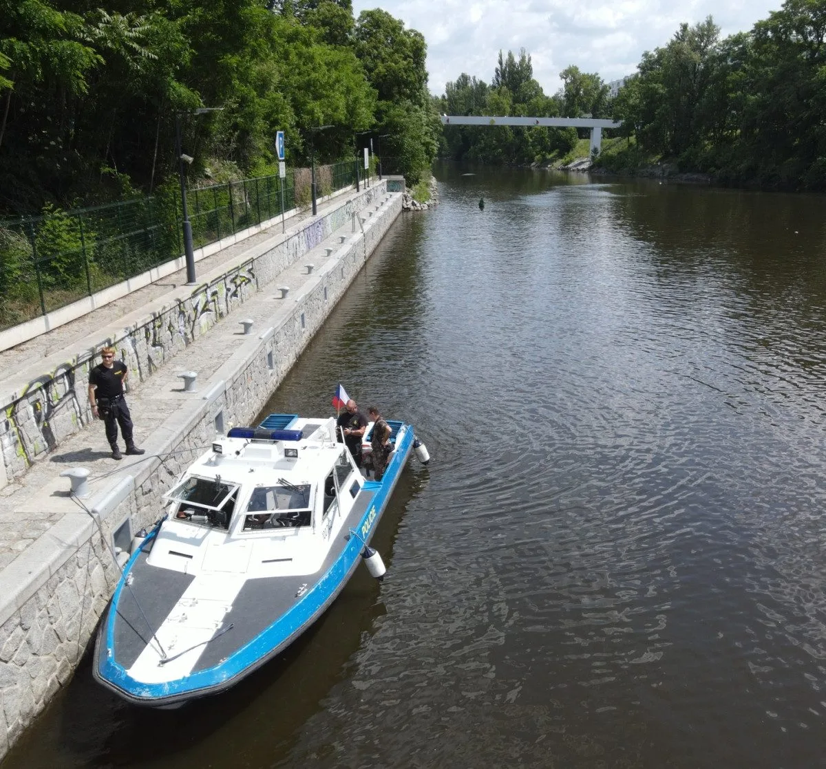 Pátrání po zmizelých labutích v Praze a okolí