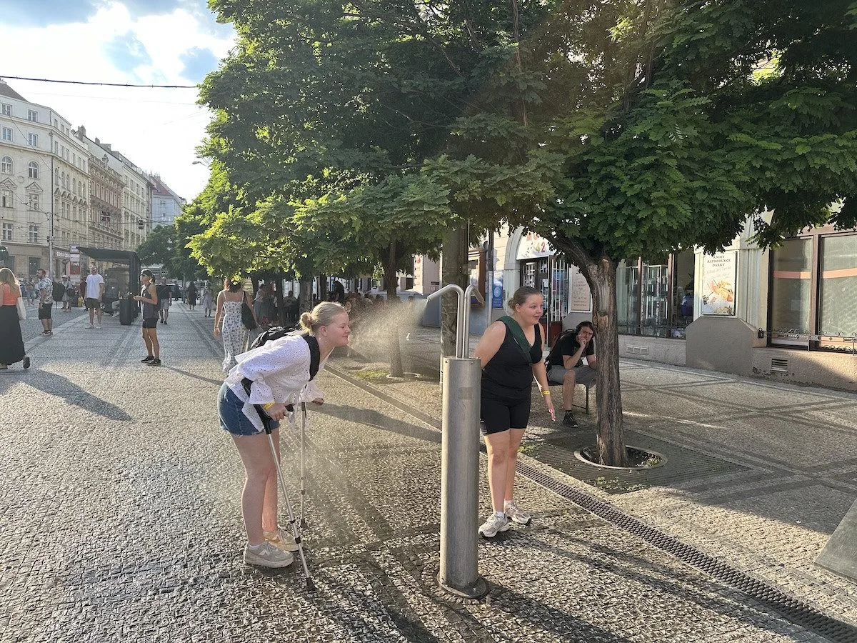 Ilustrační foto
