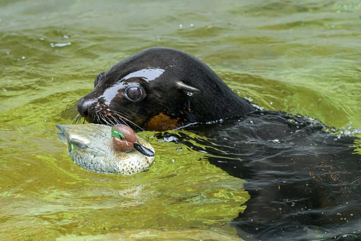 Zoo Praha