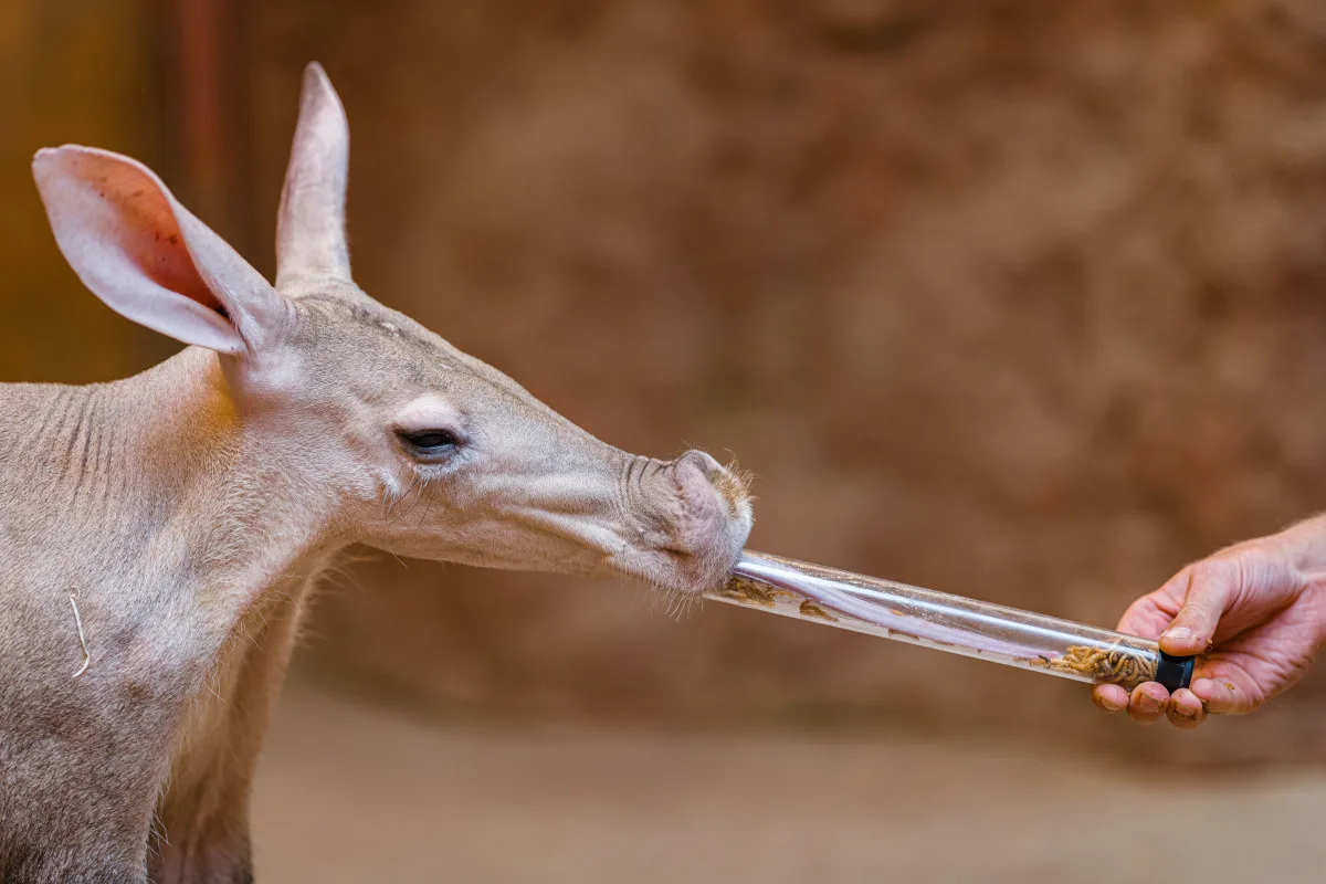 Zoo Praha