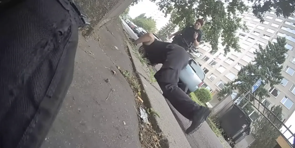 VIDEO: Kachňata propadla kanálem. Zpět k matce jim pomohli strážníci