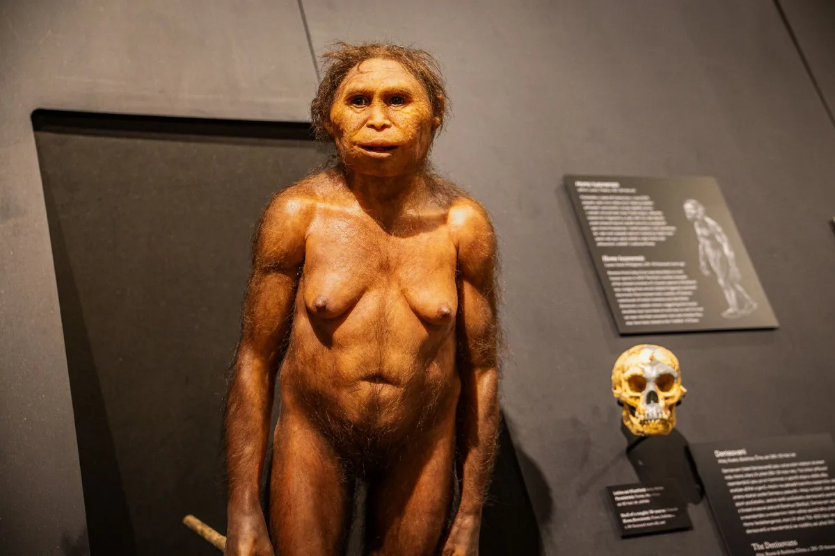 Národní muzeum jako první v Evropě vystavilo 3 miliony let staré fosilie člověka