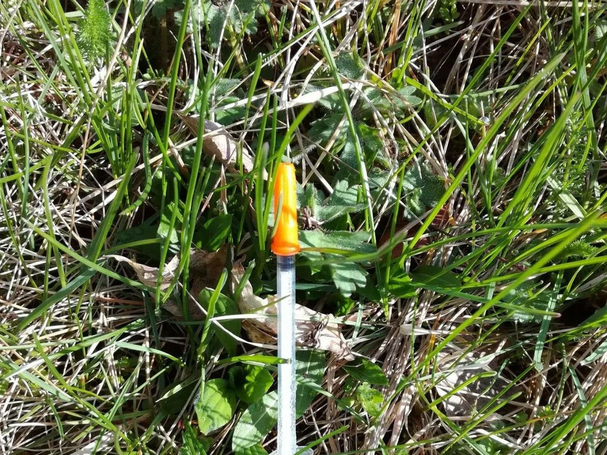 O víkendu se koná World Cleanup Day. Co dělat, když najdete injekční stříkačku?