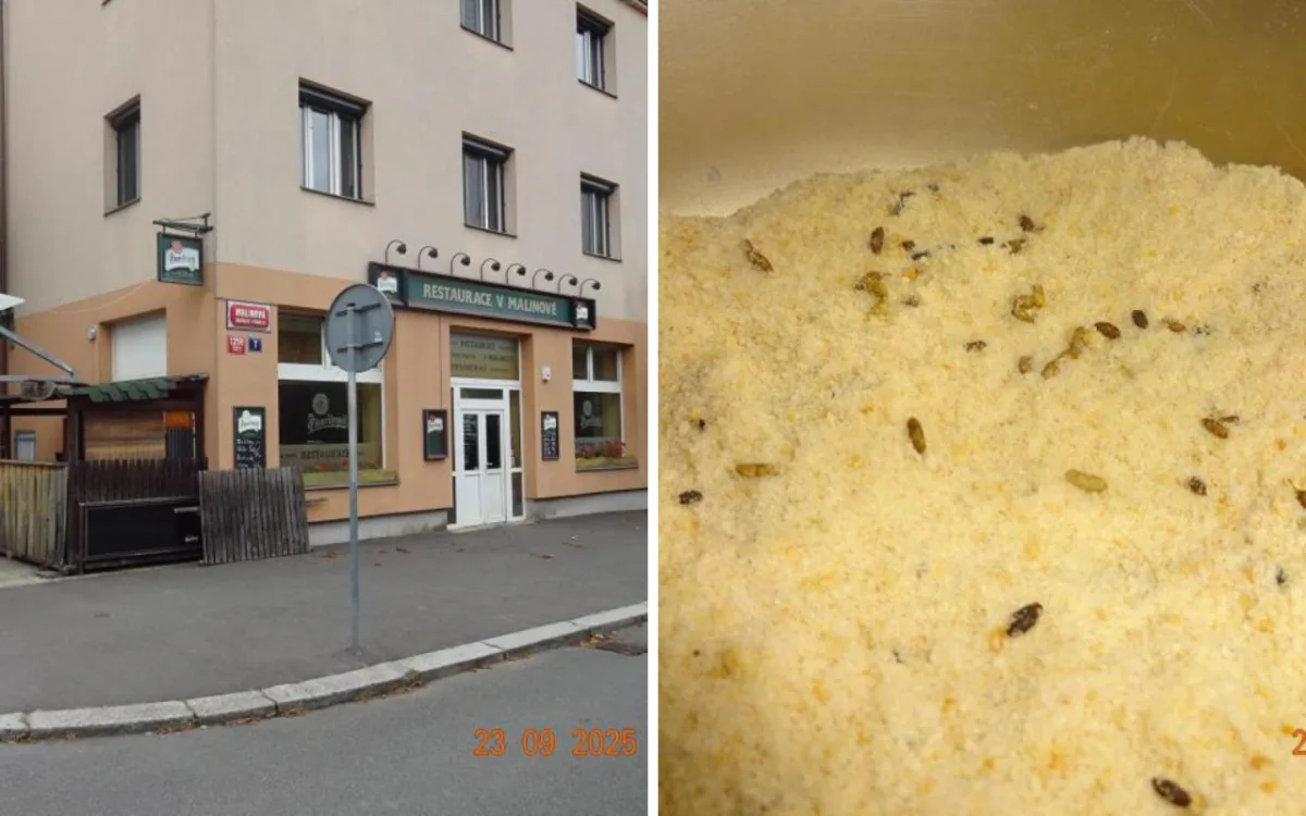 Sklad restaurace v Praze zamořily myši.
