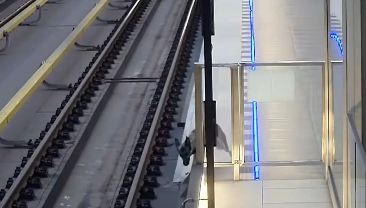 VIDEO: Na půlce metra linky A je zastaven provoz, do tunelu vběhl pes
