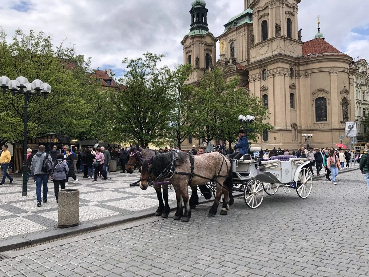 Ilustrační foto