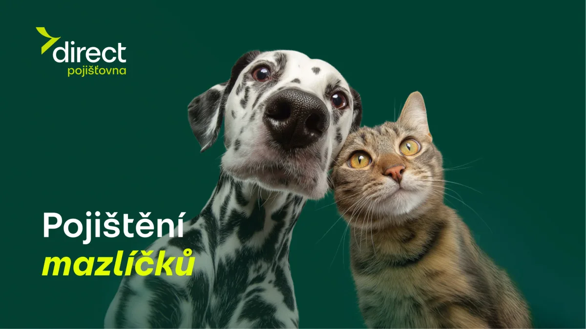 Pes spadl z gauče. Účet od veterináře vás překvapí