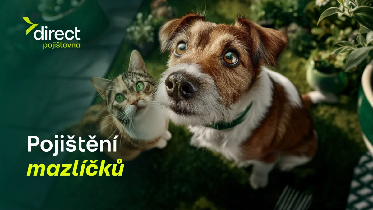 Pes spadl z gauče. Účet od veterináře vás překvapí