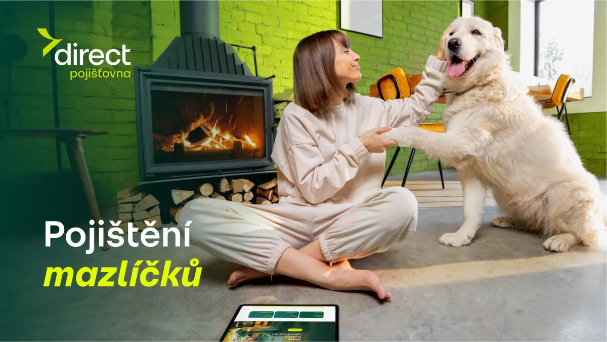 Pes spadl z gauče. Účet od veterináře vás překvapí