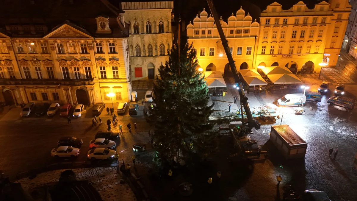 VIDEO: Vánoční strom už po malých problémech zdobí na Staromáku, rozsvítí ho v sobotu
