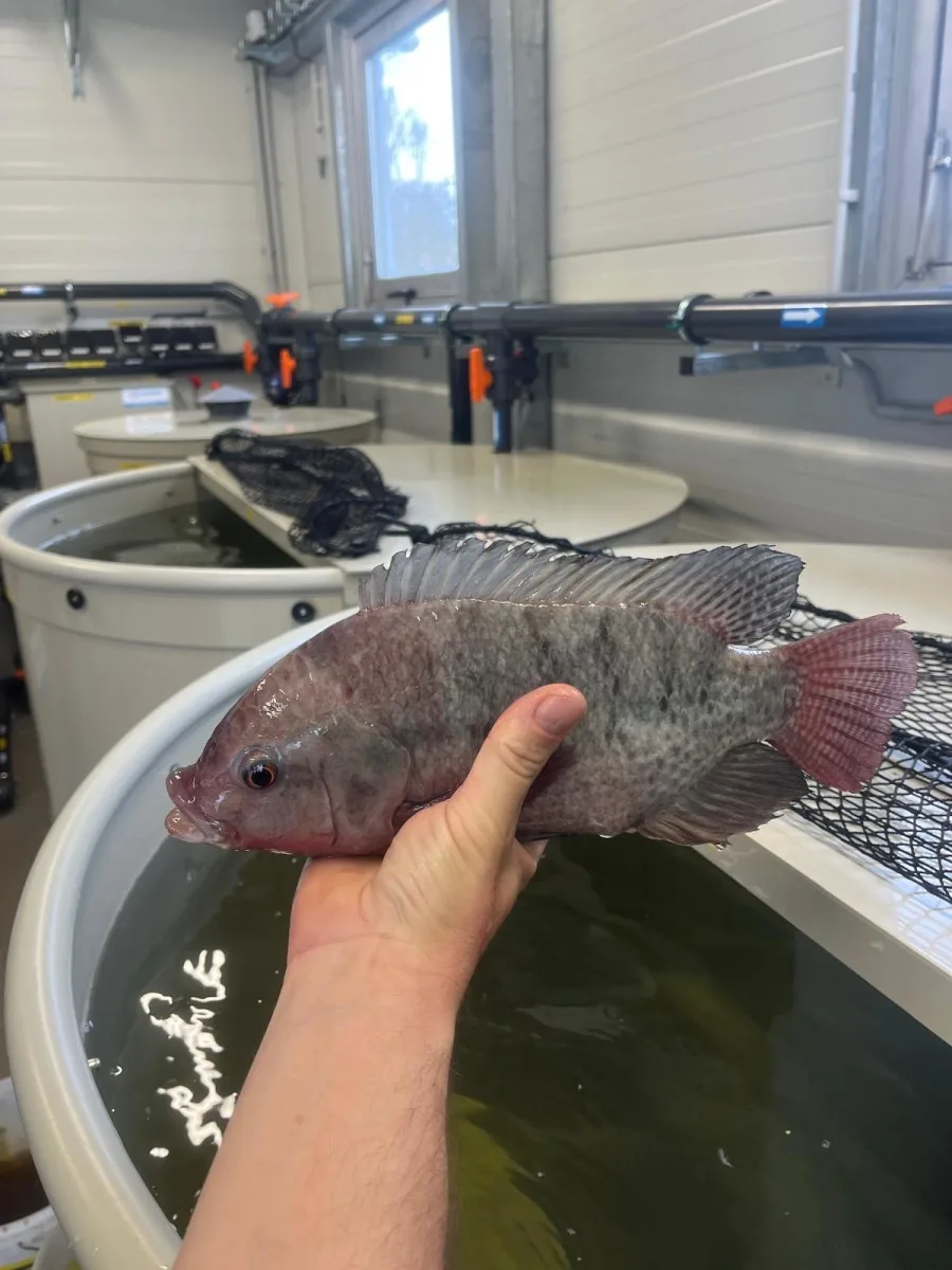 Střední rybářská škola otevřela novou aquaponickou učebnu