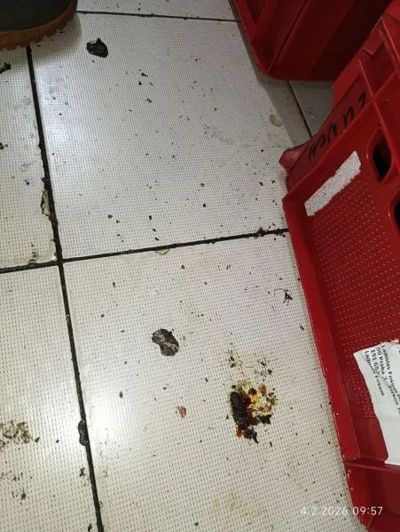 Plíseň, špína, žádný záchod. Restauraci v Praze kvůli desítce prohřešků hned zavřeli