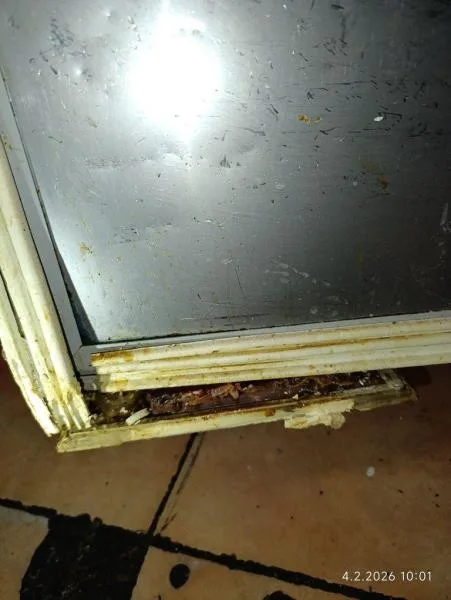 Plíseň, špína, žádný záchod. Restauraci v Praze kvůli desítce prohřešků hned zavřeli