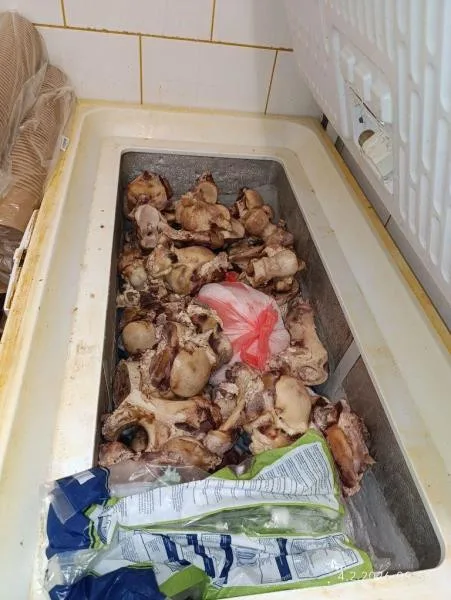 Plíseň, špína, žádný záchod. Restauraci v Praze kvůli desítce prohřešků hned zavřeli