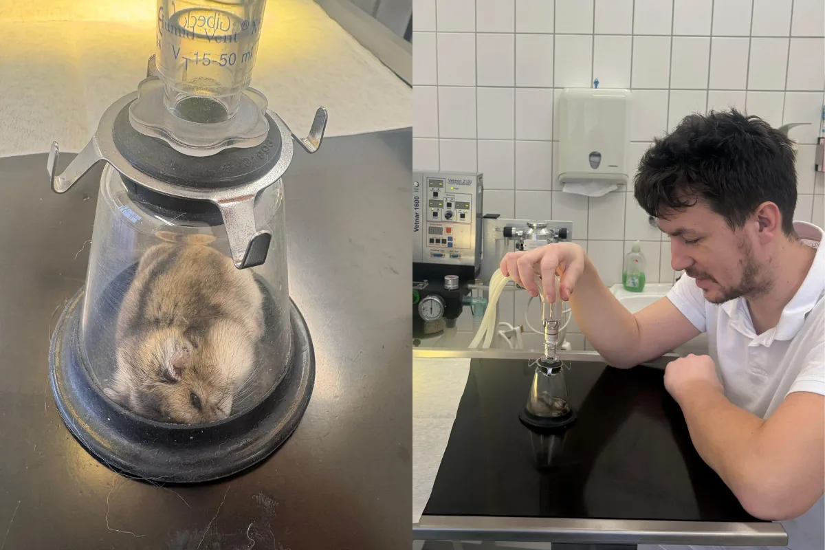 Křečíkovi museli amputovat nožku.