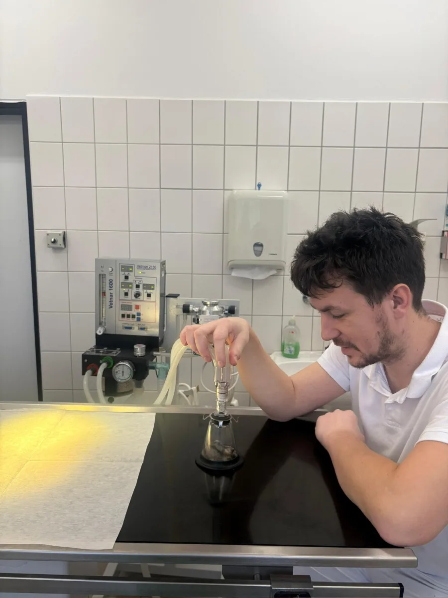 Žádný pacient není příliš malý. Veterináři pražského útulku operovali i křečíka