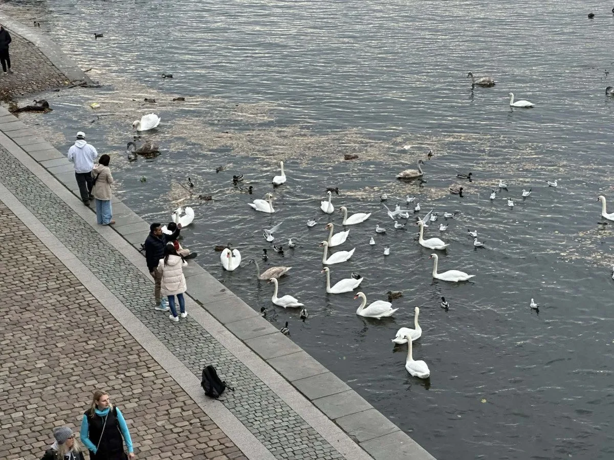 ilustrační foto