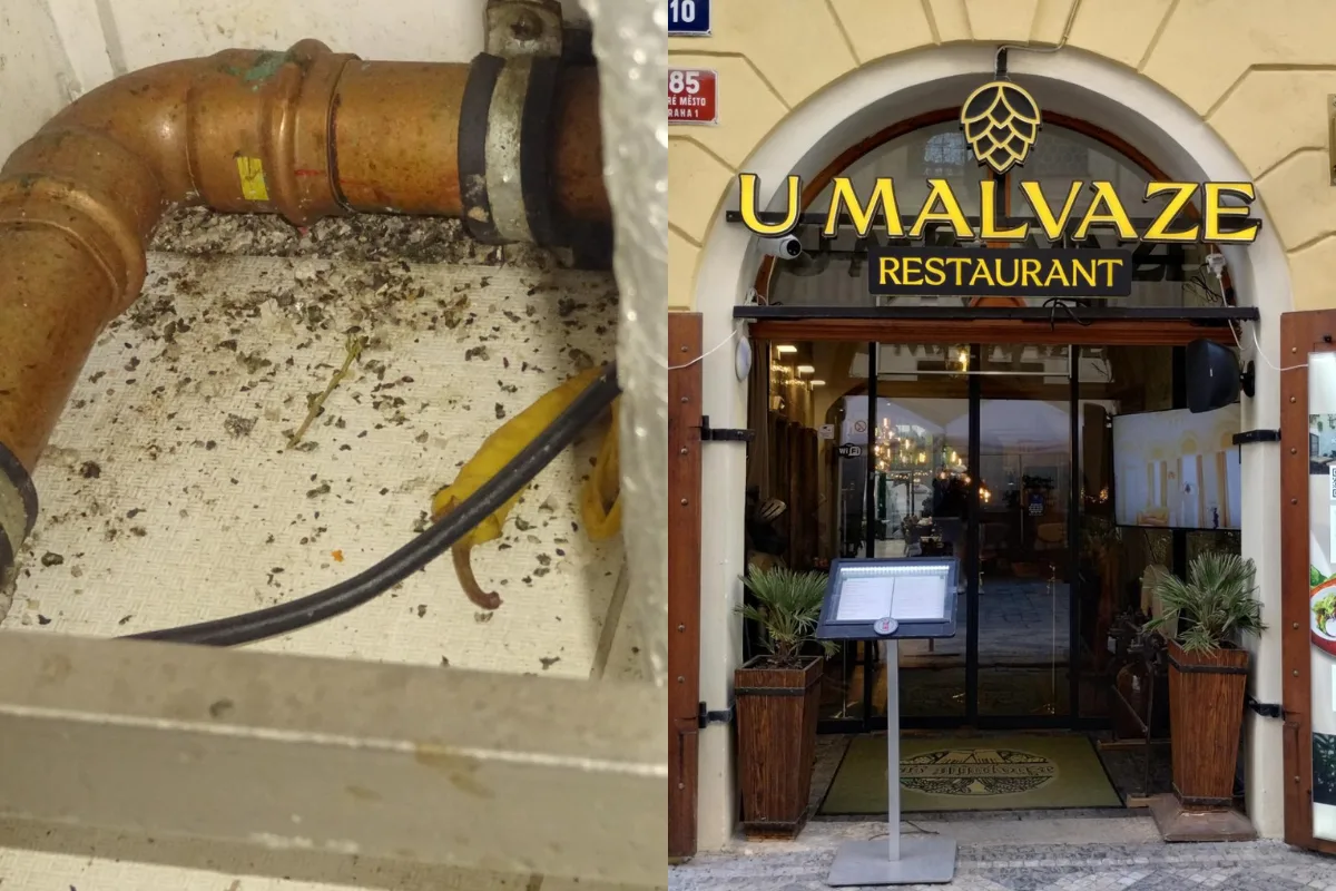 Restaurace je dočasně zavřena.
