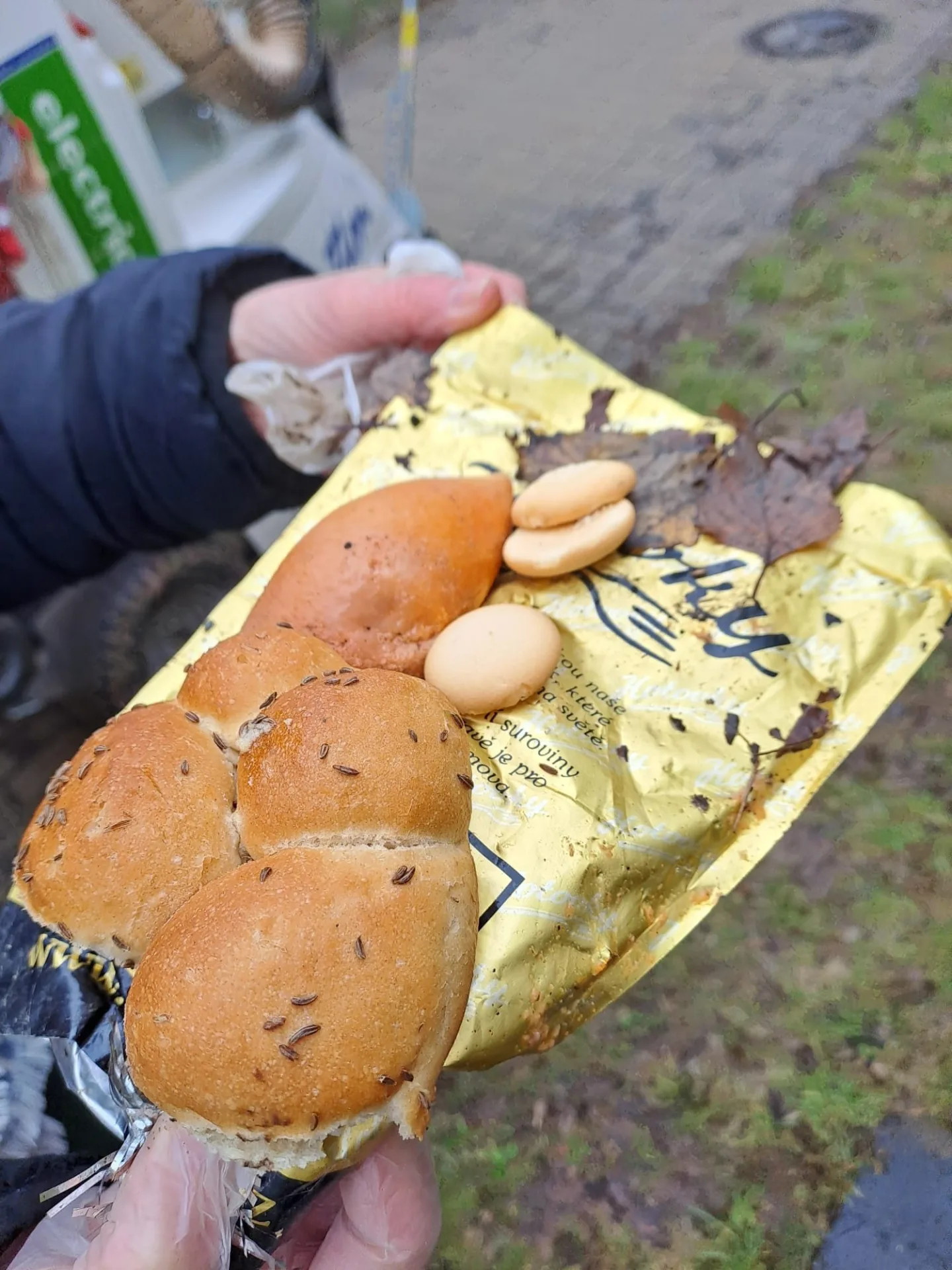 Letňany řeší krmení holubů. Radnice varuje před potkany, lidé chtějí efektivní řešení