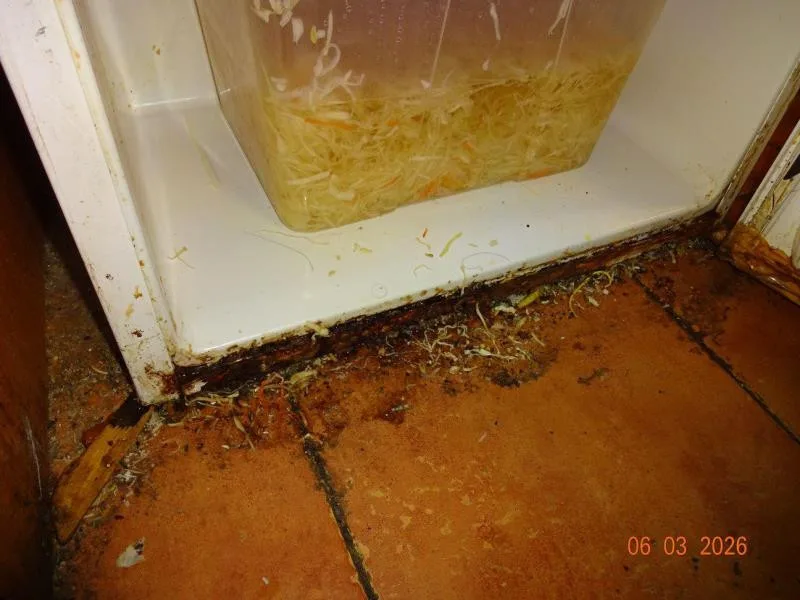 V restauraci v pražském nákupáku ignorovali úklid, zbytky jídla se vrstvily na podlaze