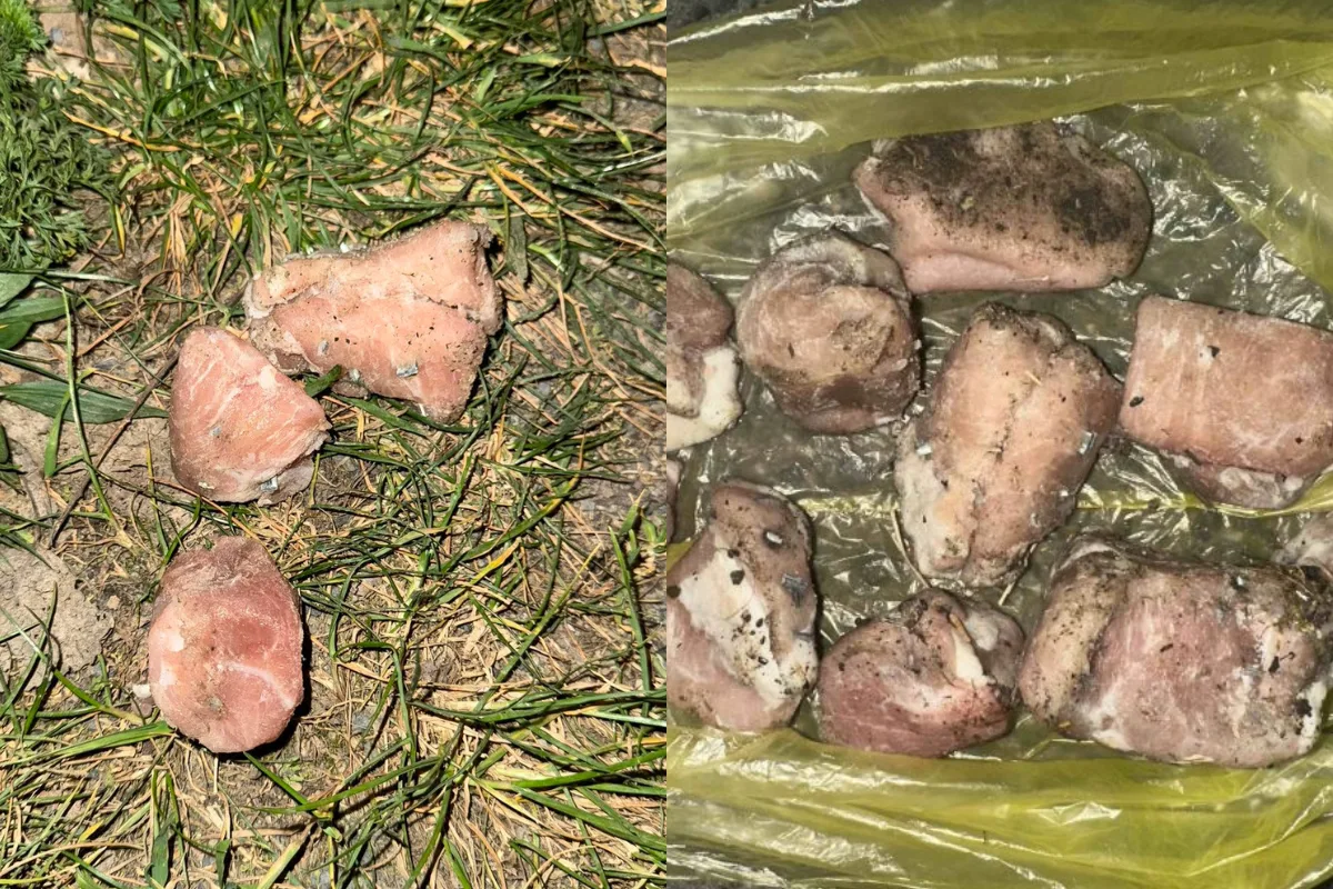 Celkem se našlo asi 15 kusů nástrah