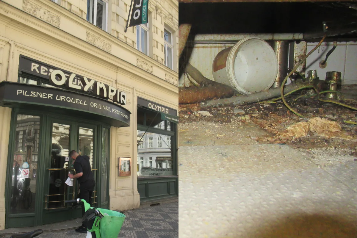 Myší bobky, plíseň, špína. Kuchyň Kolkovny na Malé Straně na místě zavřeli