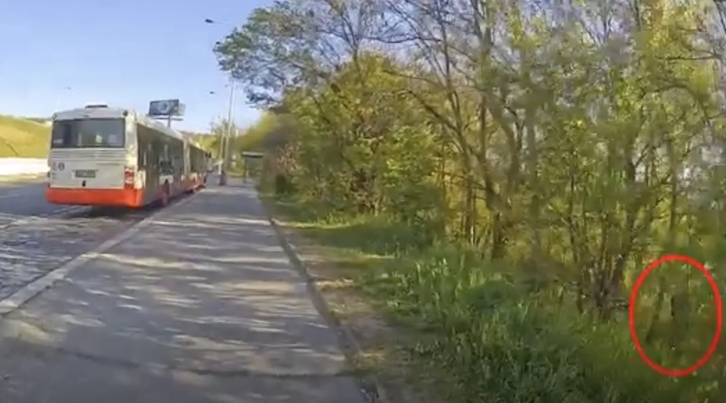 VIDEO: Muž se uspokojoval ve křoví u pražské zastávky, čekal na kolemjdoucí ženy