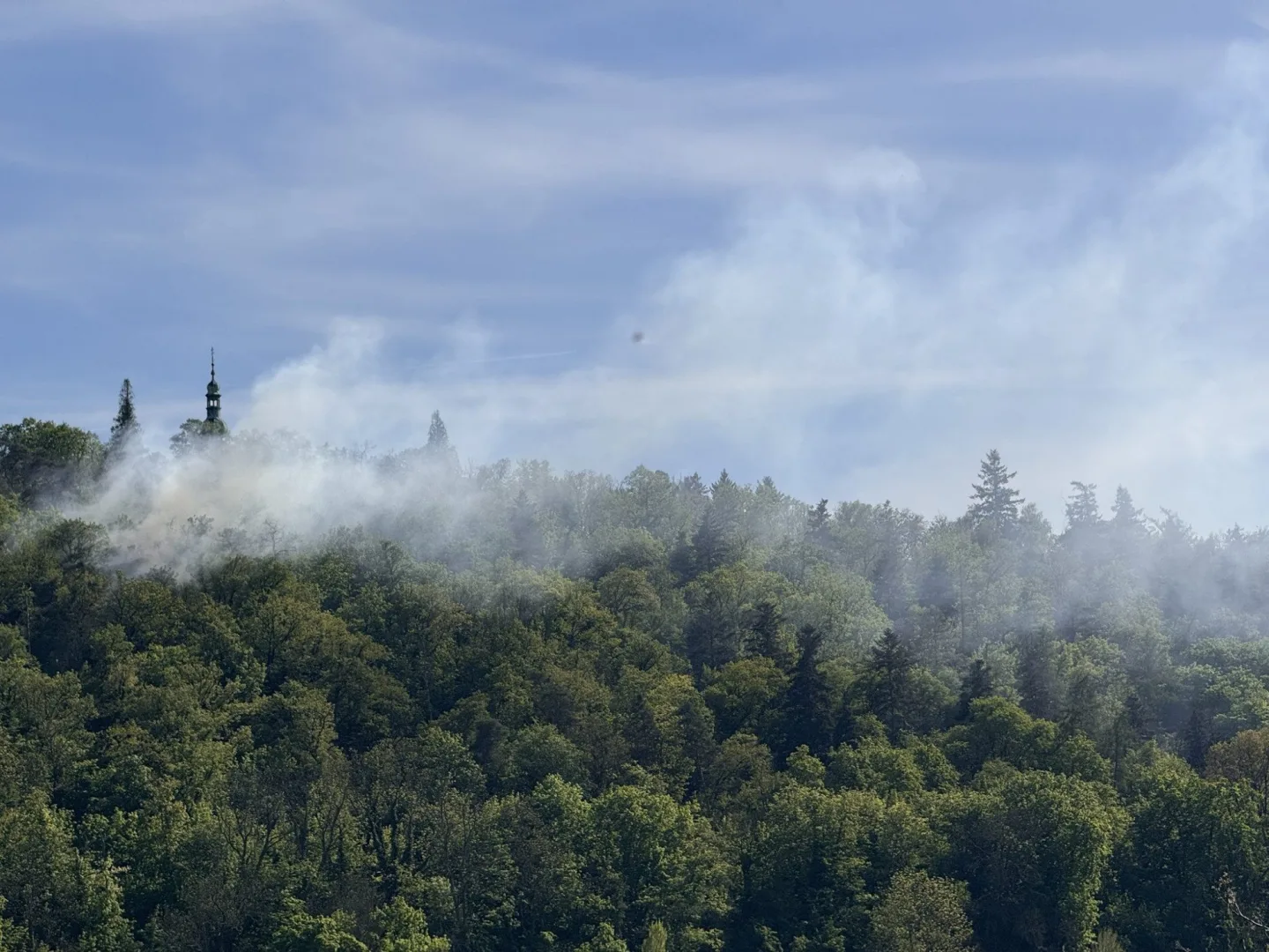 V Praze-Zbraslavi hoří les, k hašení ohnisek hasiči využívají drony