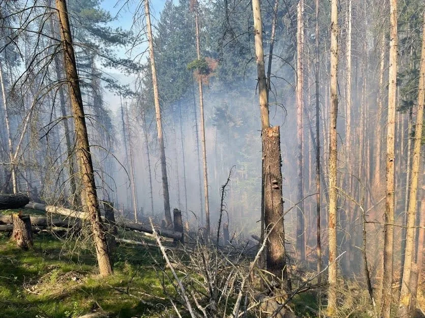 S požárem v Českém Švýcarsku bojují i hasiči z Prahy. Většina je z dobrovolných jednotek